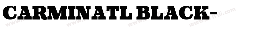 CarminaTL Black字体转换
